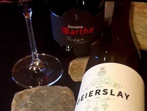 Degustace moselských rieslingů a vín jižní France