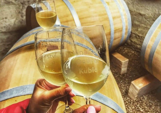 Pozvánka na degustaci vín