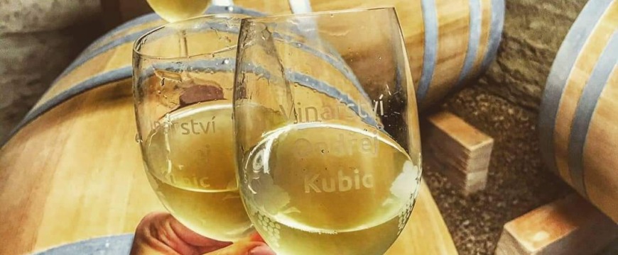 Pozvánka na degustaci vín