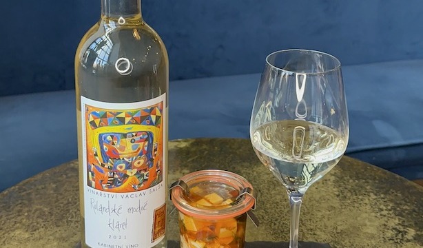 Degustační večer 2.3. od 18:00 s vinařem Šalšou