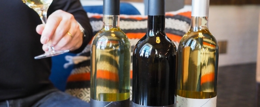 Řízená degustace vína 23.1. od 18:00